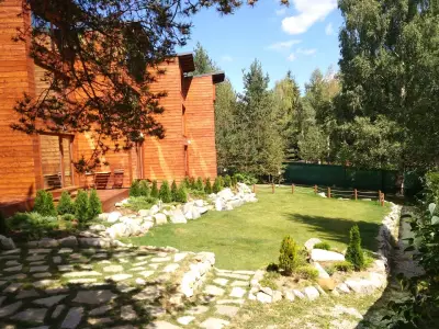 ПинусВилас