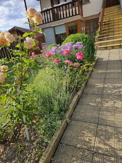Iundova Guest House