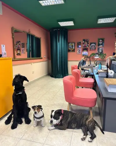 LAK NAIL SHOP