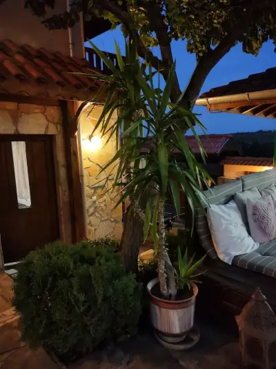 Guest house The view