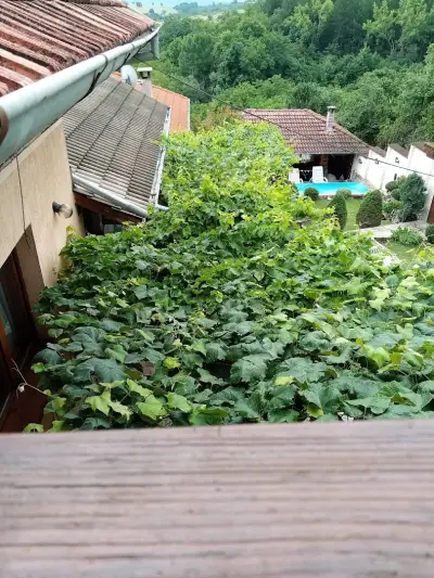 Guest house The view