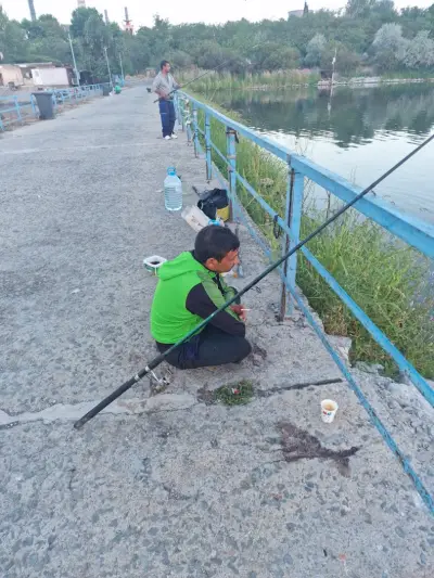 Fish Farm ELAZ - Продажба на Риба на едро