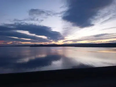 Fish Farm ELAZ - Продажба на Риба на едро