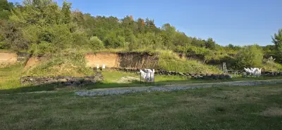 Стрелбище Побит Камък, Росармс България ЕООД