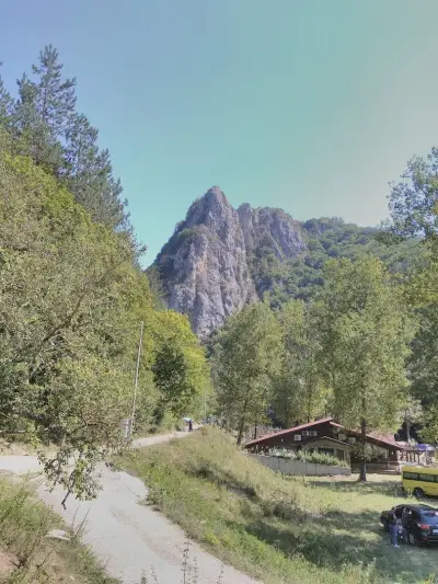 DIO AUTOMOTIVE