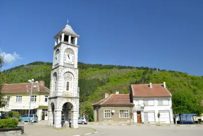 Община Чупрене