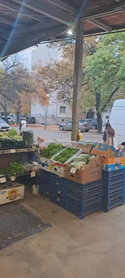 Баш Пазара