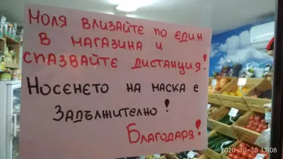 Плод Зеленчук "Стеди Фрут 98"