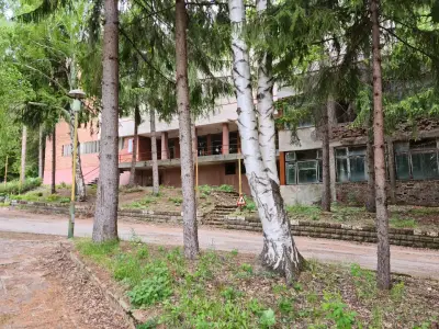 Complex Raduntsi