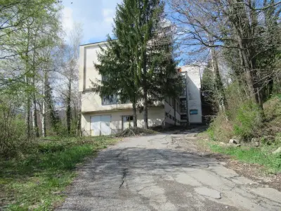 Complex Raduntsi