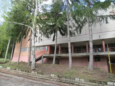 Complex Raduntsi