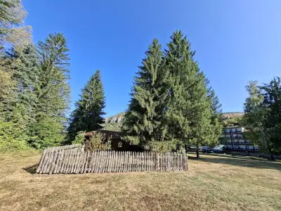 ВПК Рибарица