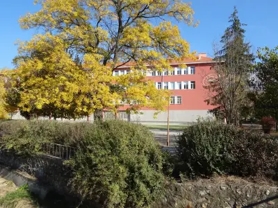 СУ"Нешо Бончев"