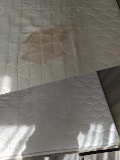 Професионално почистване Lili Cleaning