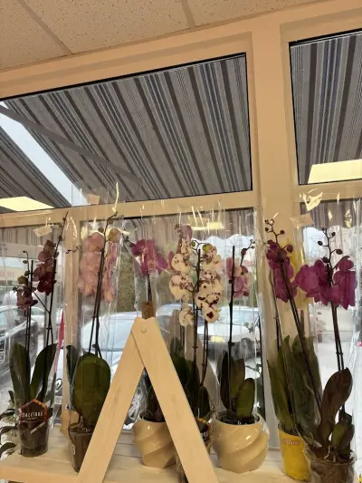 Магазин за цветя A&G Flora