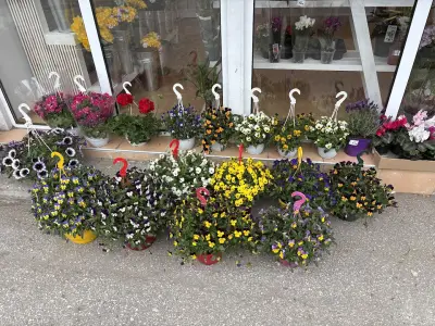 Магазин за цветя A&G Flora