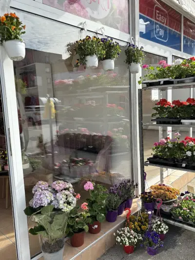 Магазин за цветя A&G Flora
