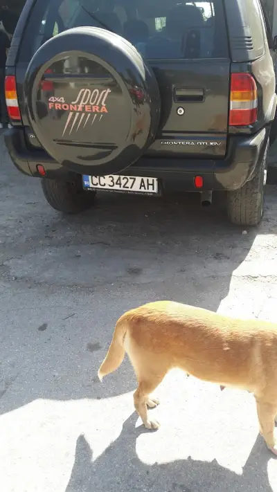 АвтоДжико-ЕООД