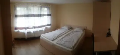 Трънската къща