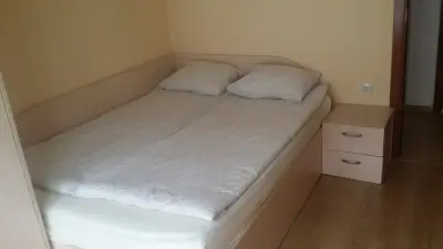 Трънската къща