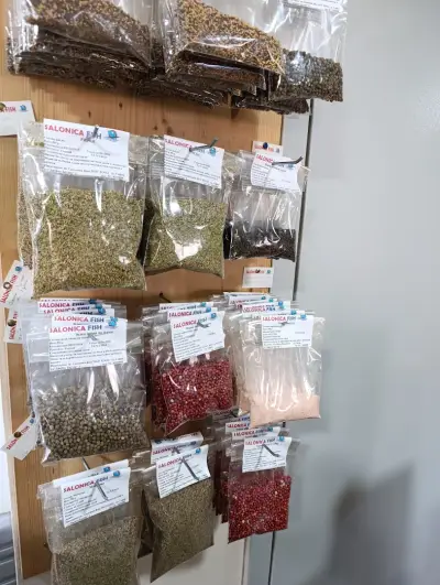 Салоника фиш