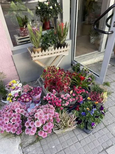 FLOWER SHOP “IDA PIER”
