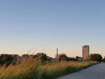 ГИПС