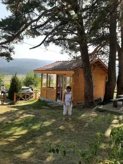 Вили "Алпин"