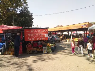 Велешана