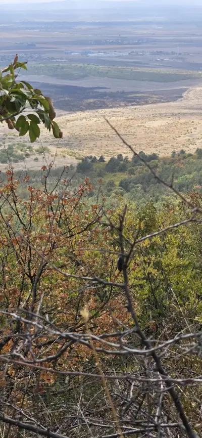 Паметник 110 години от Освобождението на България Бакаджика