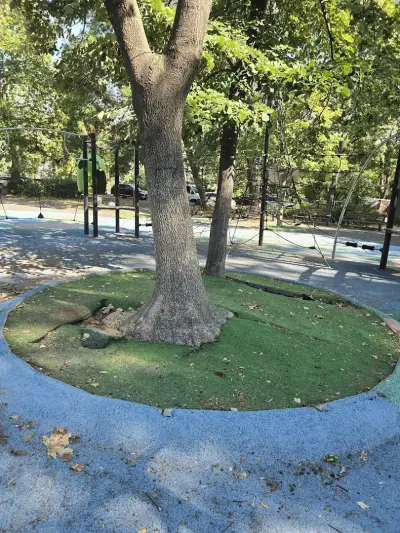 Park with a playground