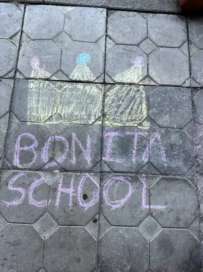 Школа Бонита