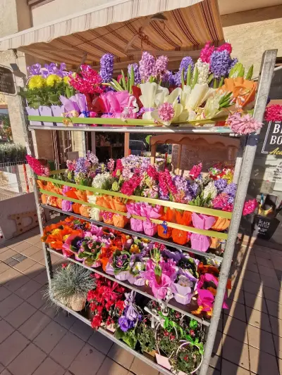 Цветарски магазин MonMar art & flowers