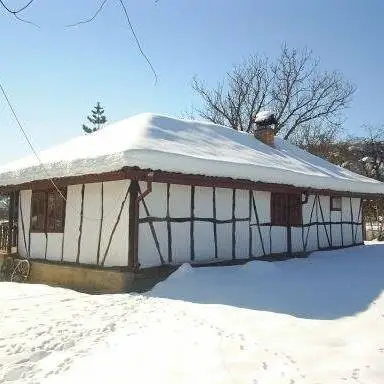 Бистрилишки къщи