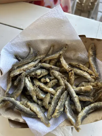 Coccos