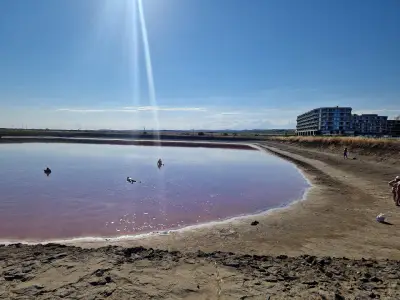 Salt Sea