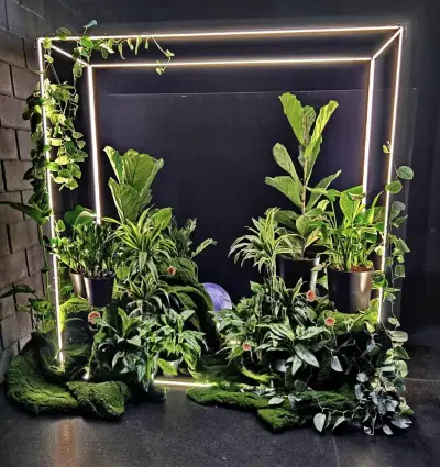LED Studio - Buzov. Ефектно LED осветление София Люлин