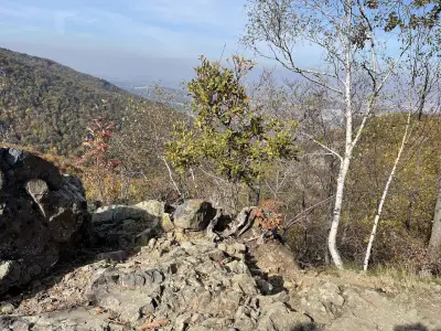 Красива гледка