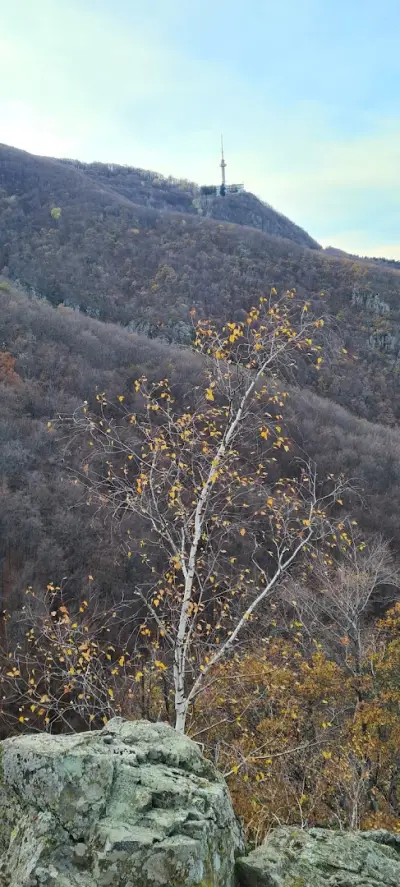 Красива гледка