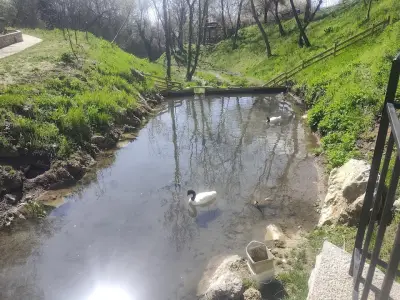 Радомирски Водопад "Бучалото"