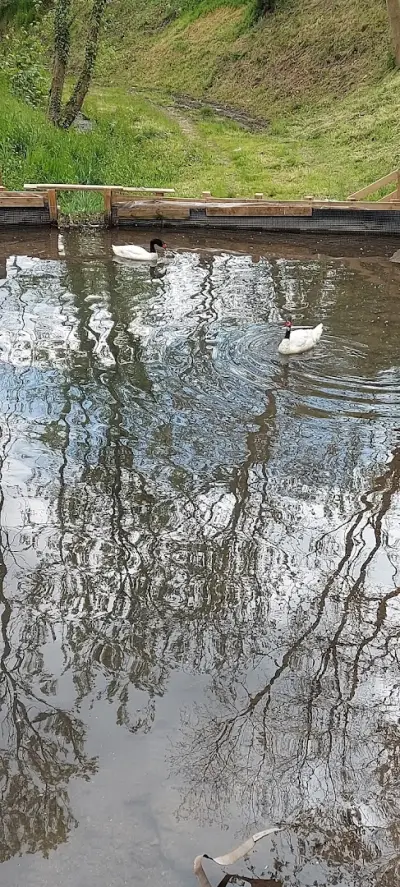 Радомирски Водопад "Бучалото"