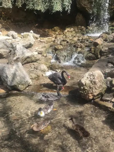 Радомирски Водопад "Бучалото"