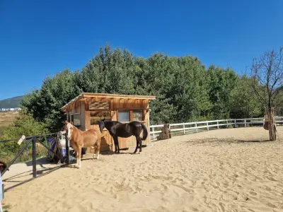 Конна база Витоша Хил