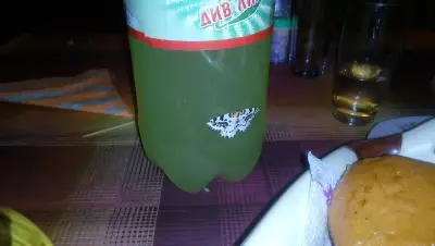 Ресторант „Стара планина“
