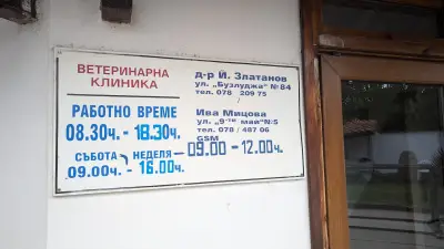 Ветеринарна клиника Златанов