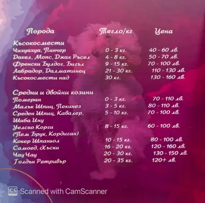 Груминг студио Mon Amie І Цялостен груминг І Почистване на зъбен камък без упойка І Спа процедури І Озонова терапия