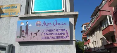 Груминг студио Mon Amie І Цялостен груминг І Почистване на зъбен камък без упойка І Спа процедури І Озонова терапия