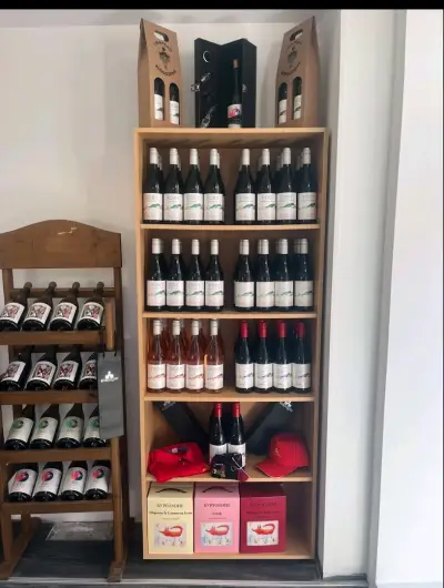 Магазин за вино на Шато Бургозоне - Burgozone Wine shop