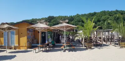 Морски дар