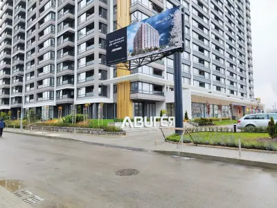 Авигея